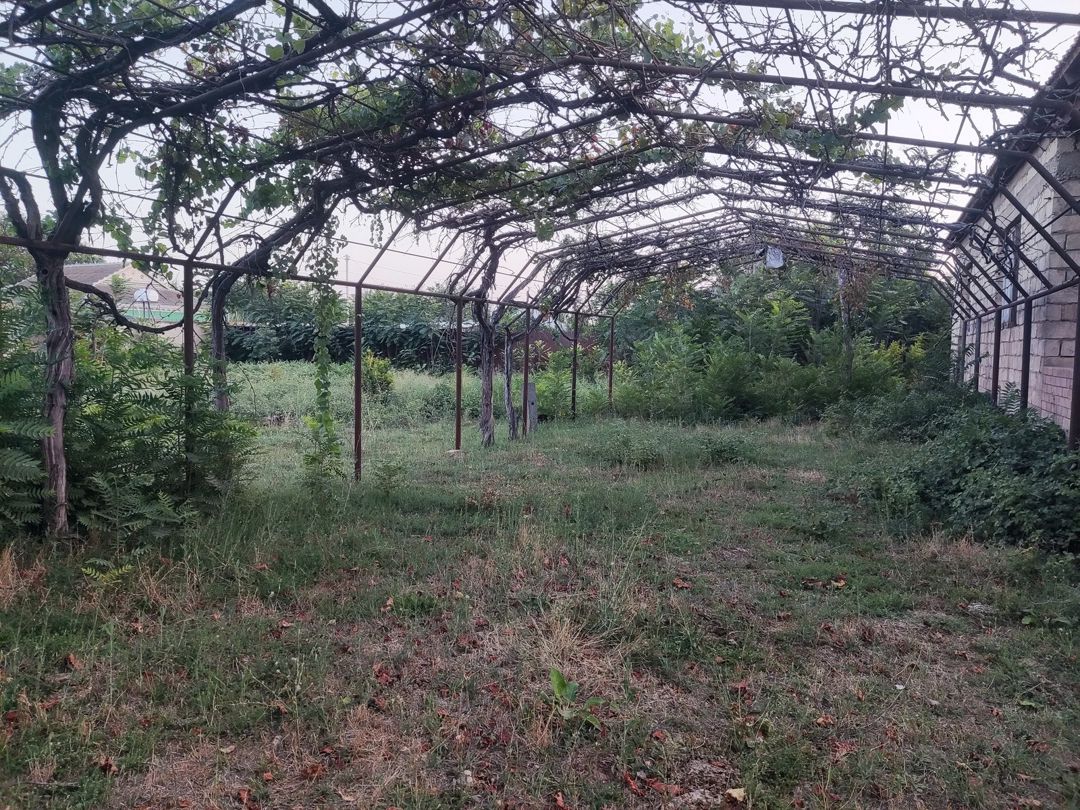 Satılır 4 otaqlı həyət evi/bağ evi 120 m² — Ev, villa, Beyləqan (12)