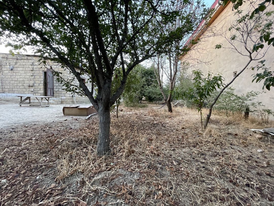 Satılır torpaq 10 sot — Torpaq, Bakı (9)