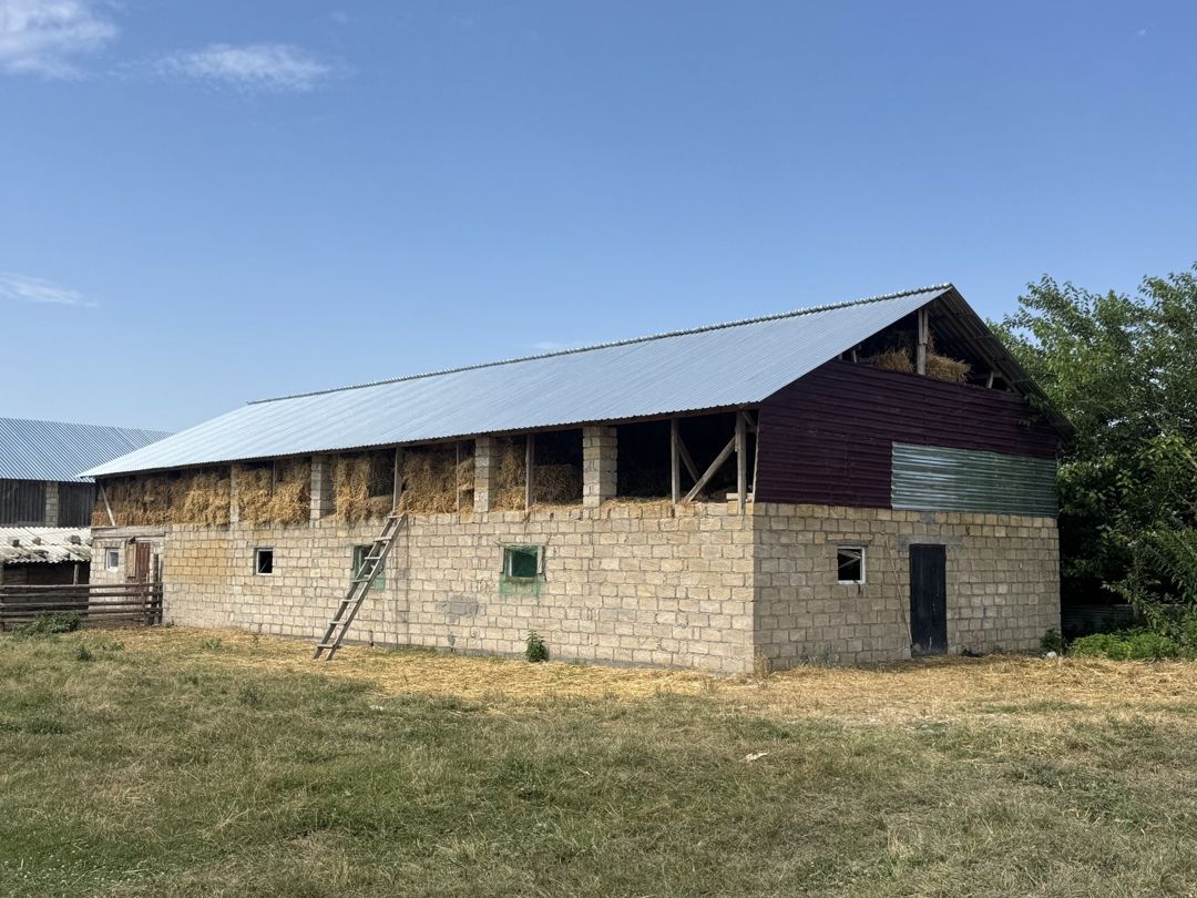 Satılır torpaq 50 sot — Torpaq, Oğuz (2)
