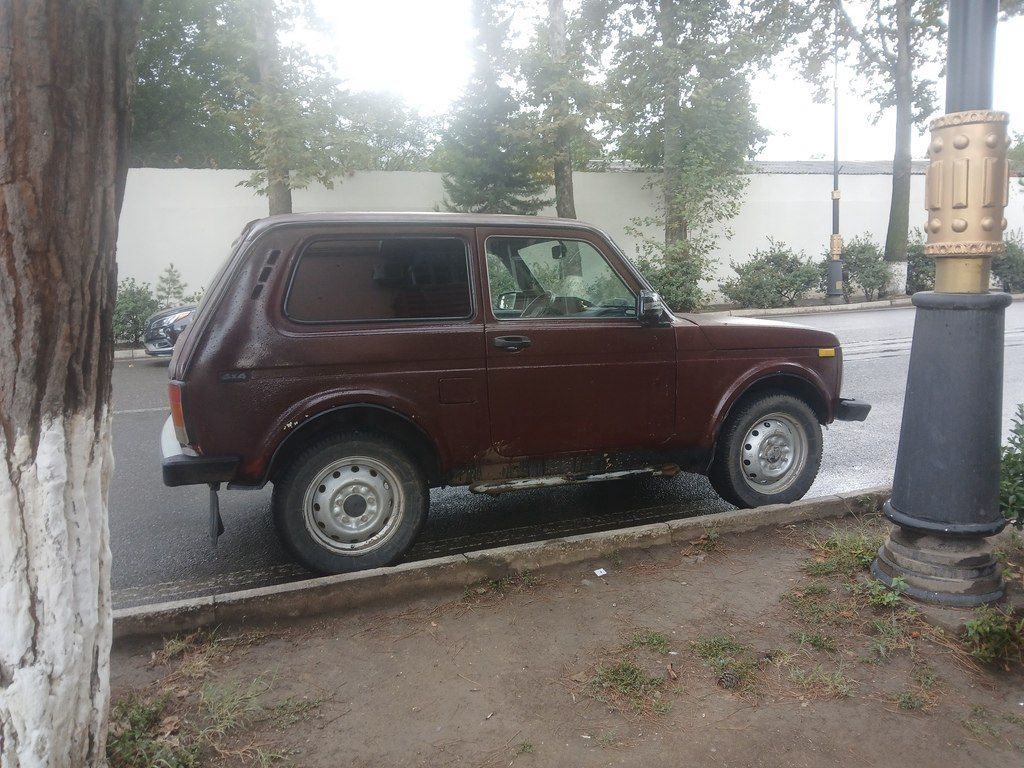 Lada (VAZ) Niva, 1.7 L, 1995 il, 254 682 km 10-RH-811 — Avtomobillər, Qazax (5)