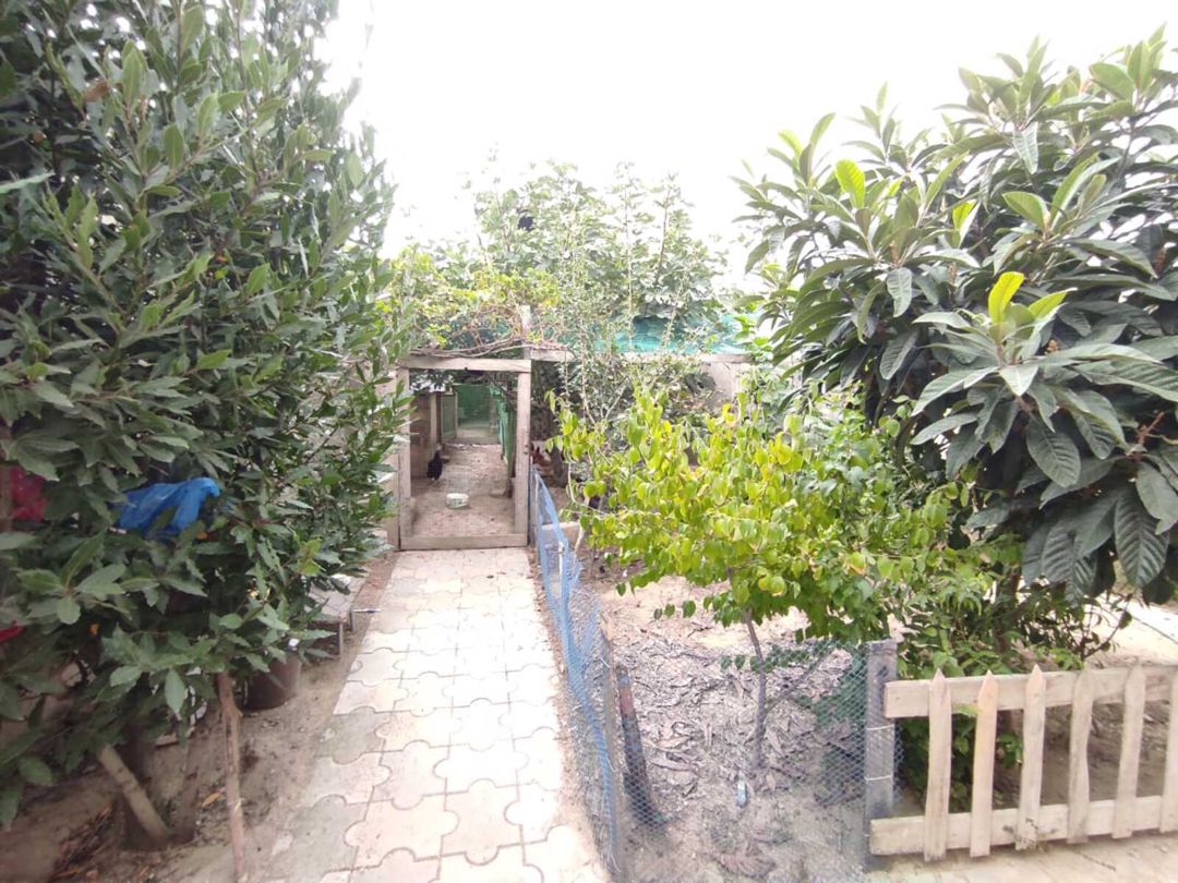 Satılır 3 otaqlı həyət evi/bağ evi 95 m² — Ev, villa, Bakı (10)