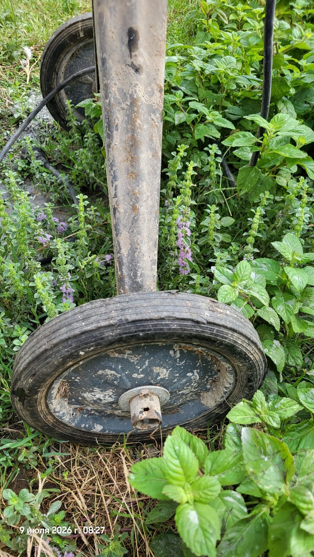 Elektrik betonqarışdıran (beton mikseri) - Portağal rəngli polad — Digər elektrik aləti, Astara (8)
