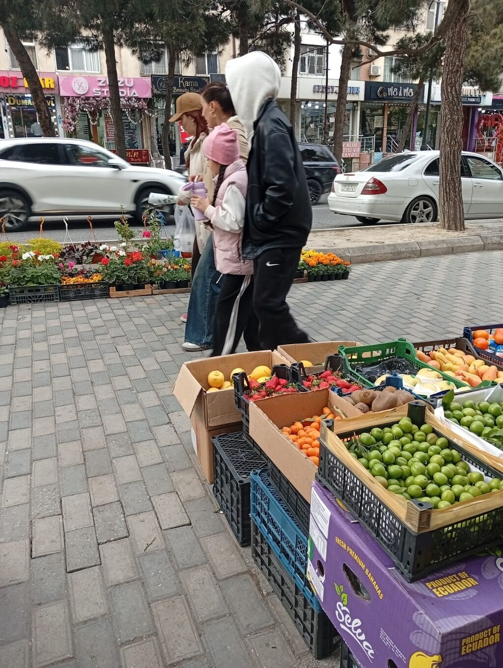 Hazır biznes kimi satılır 500 manat aylıq icare haqqı 400 manat ünvan — Bitkilər, Bakı (3)