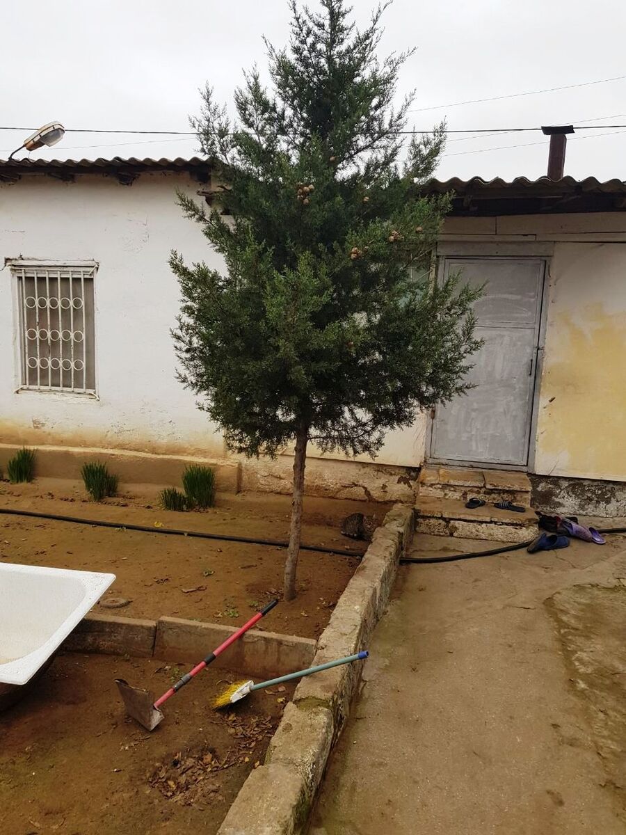 Satılır torpaq 15 sot — Torpaq, Bakı (3)