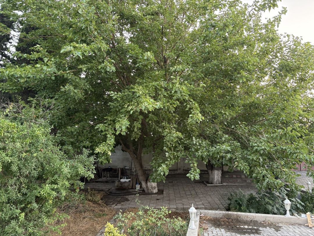 Satılır 4 otaqlı həyət evi/bağ evi 145 m² — Ev, villa, Bakı (7)