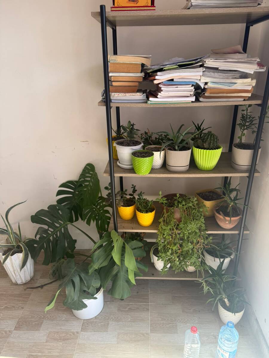Satılır obyekt 30 m² — Əmlak, Bakı (2)