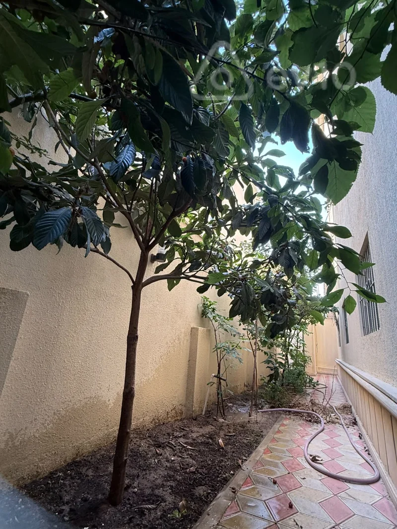 6 otaqlı həyət evi, 100 m², Ramana — kirayə — Ev, villa, Bakı (8)