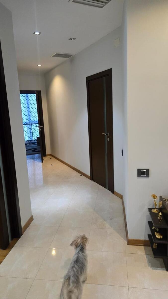 İcarəyə verilir 3 otaqlı yeni tikili 171 m² — Mənzil, Bakı (11)