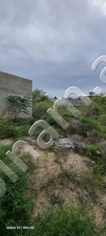 16 sot Torpaq, Satış, Bakı, Xəzər, Koroğlu — Torpaq, Bakı (4)