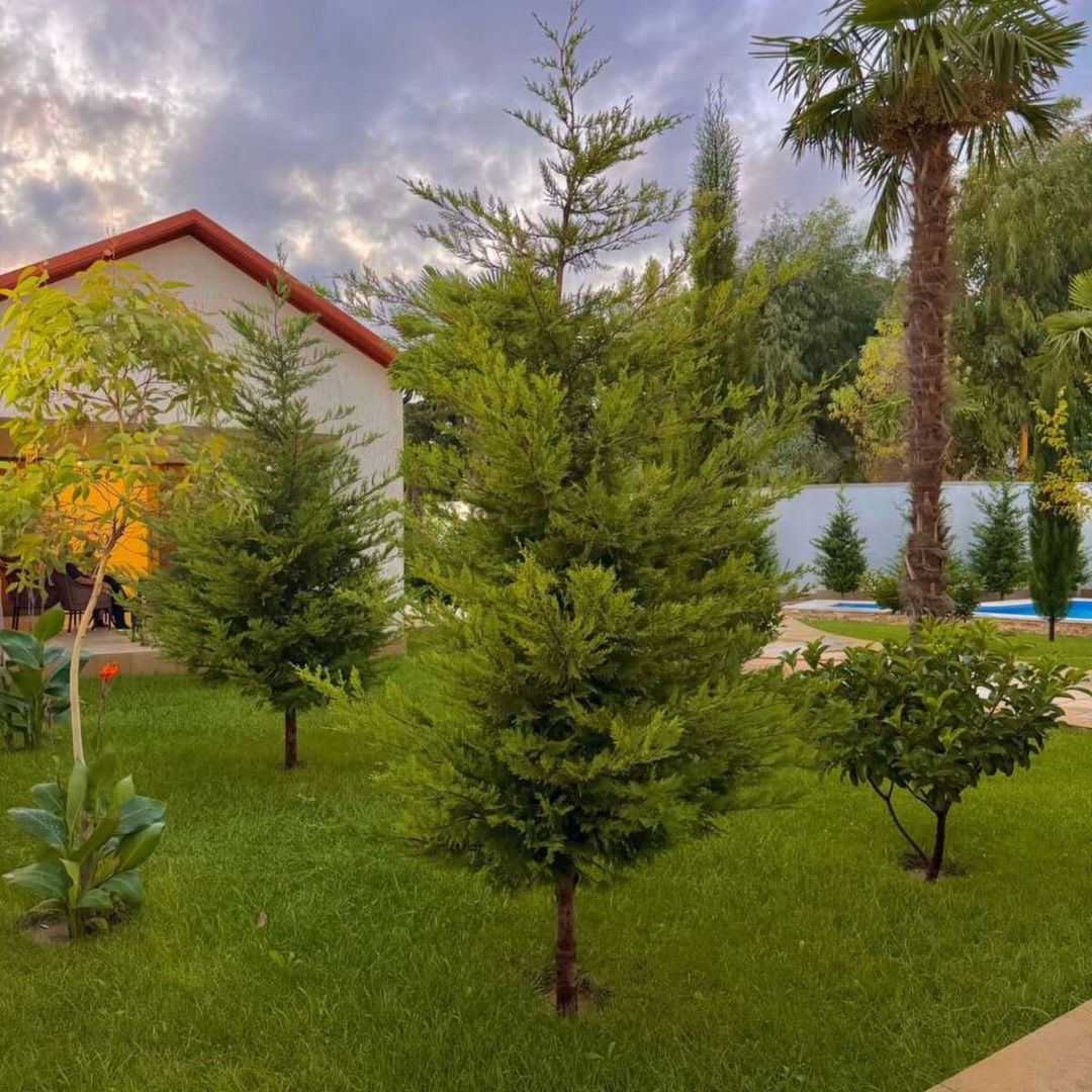 Satılır 6 otaqlı həyət evi/bağ evi 550 m² — Ev, villa, Bakı (8)