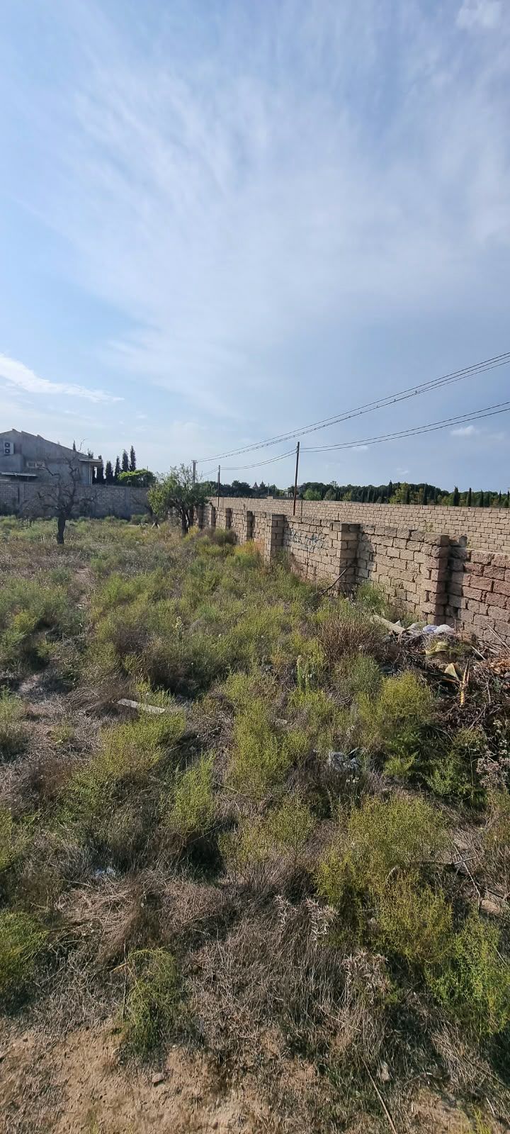 Satış: Torpaq, 14 sot, Xəzər rayonu — Torpaq, Bakı (7)