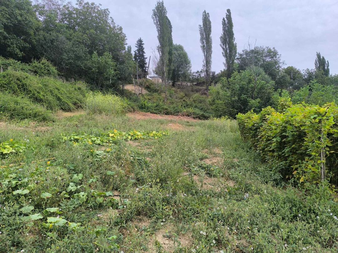 Satılır torpaq 10 sot — Torpaq, Şamaxı