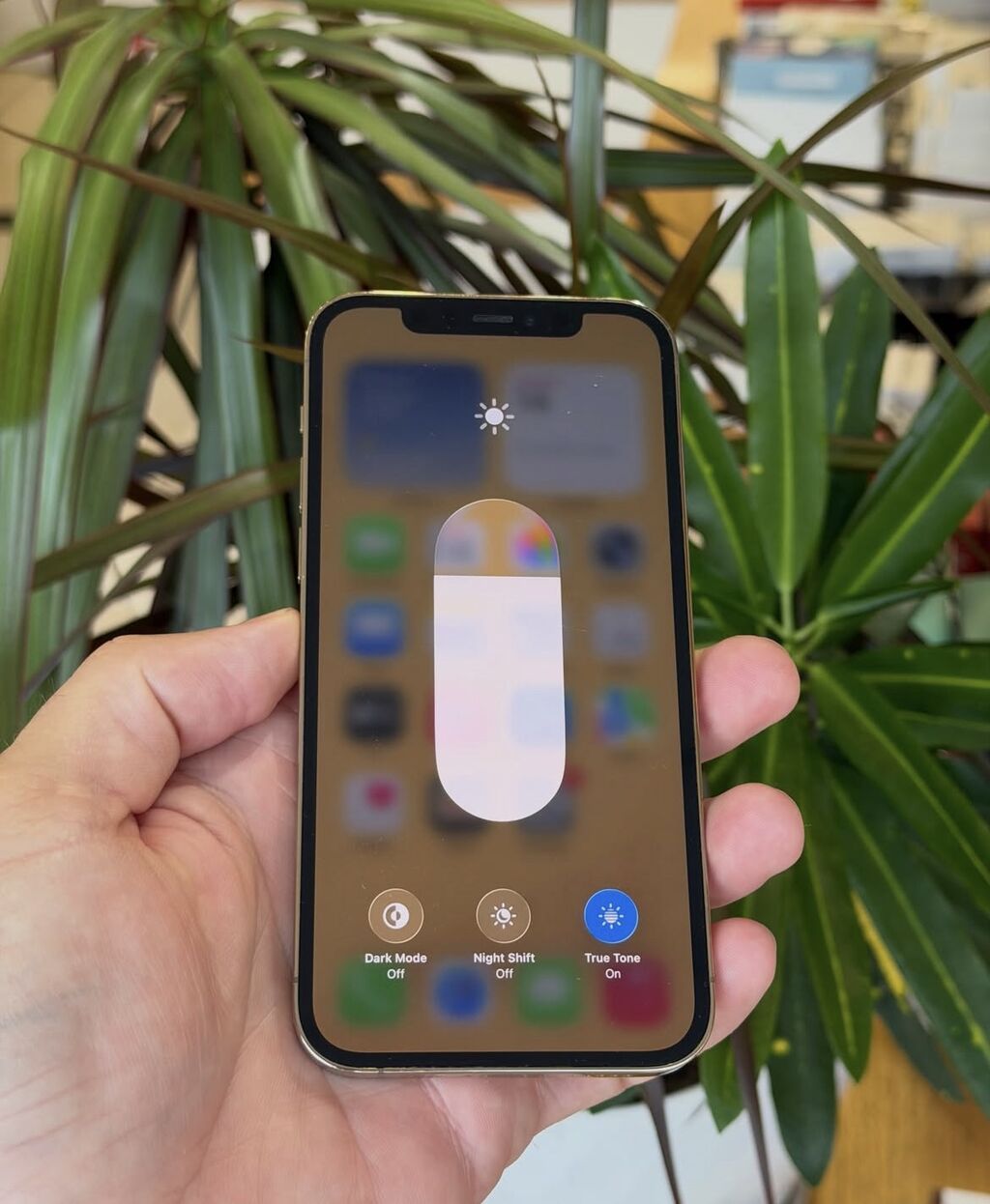 IPhone 12 Pro, 128 GB, Matte Gold, Zəmanət, Simsiz şarj, Face ID — Apple iPhone, Bakı (3)