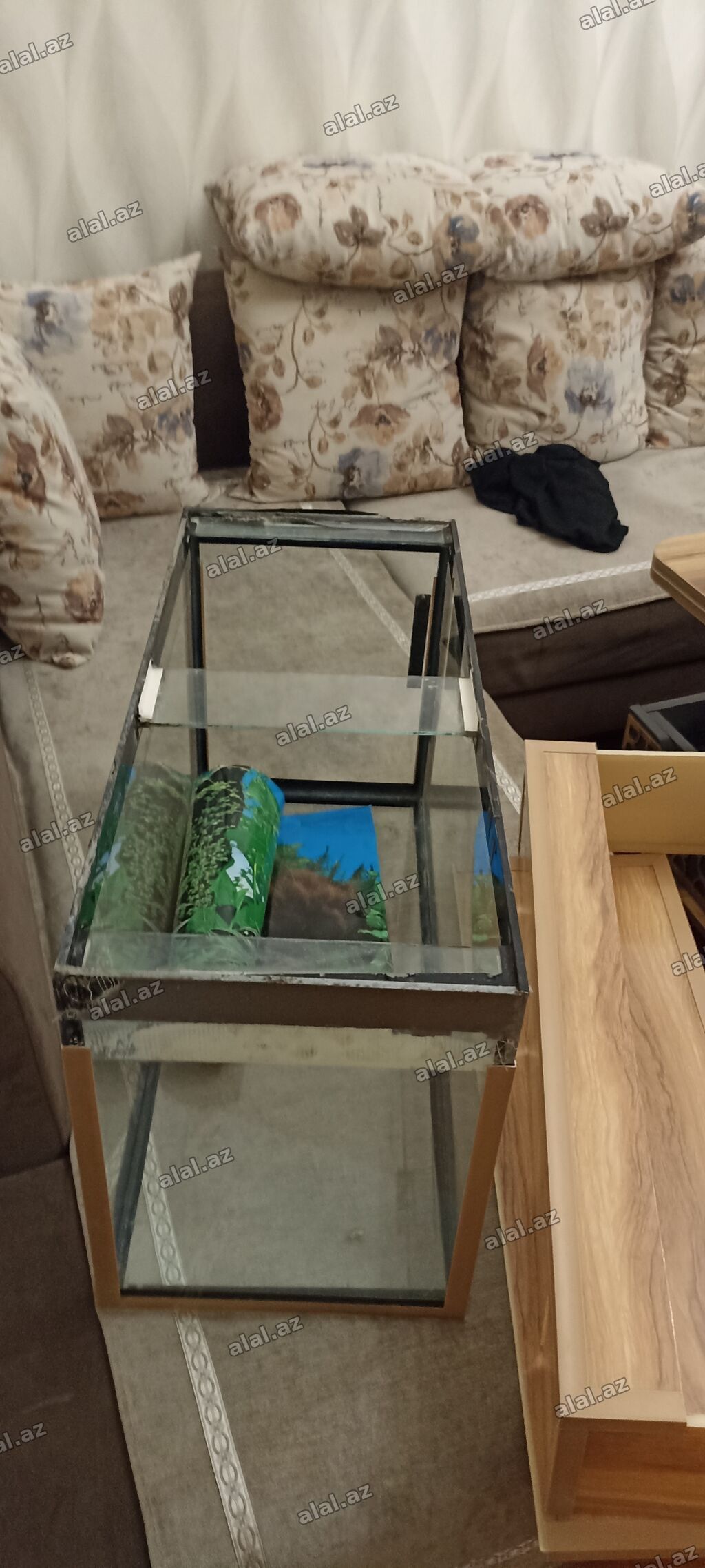 Dördbucaq akvarium, Boş, 80 l — Mallar, Bakı (4)