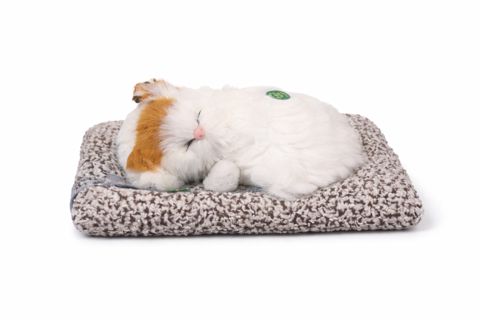 Yumşaq oyuncaq 15777, 25 sm — Bakı