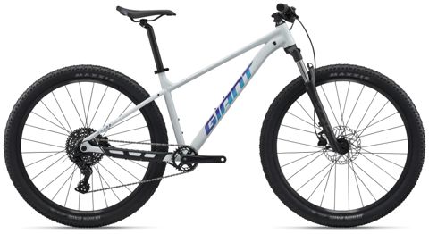 Dağ velosipedi Giant Talon 2 29 düym M Ağ — Bakı