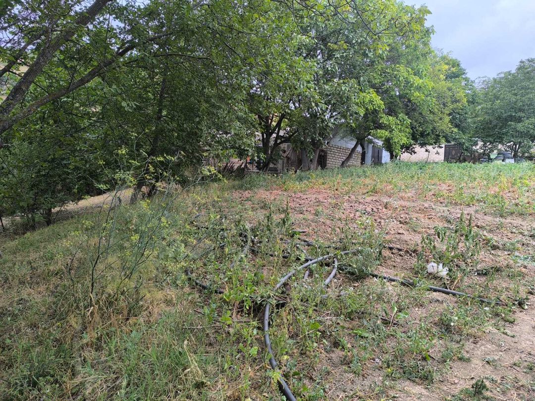 Satılır torpaq 10 sot — Torpaq, Şamaxı (12)