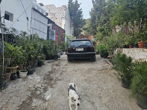 Satış: 2 otaqlı Ev / villa, 46 m², Səbail rayonu — Bakı