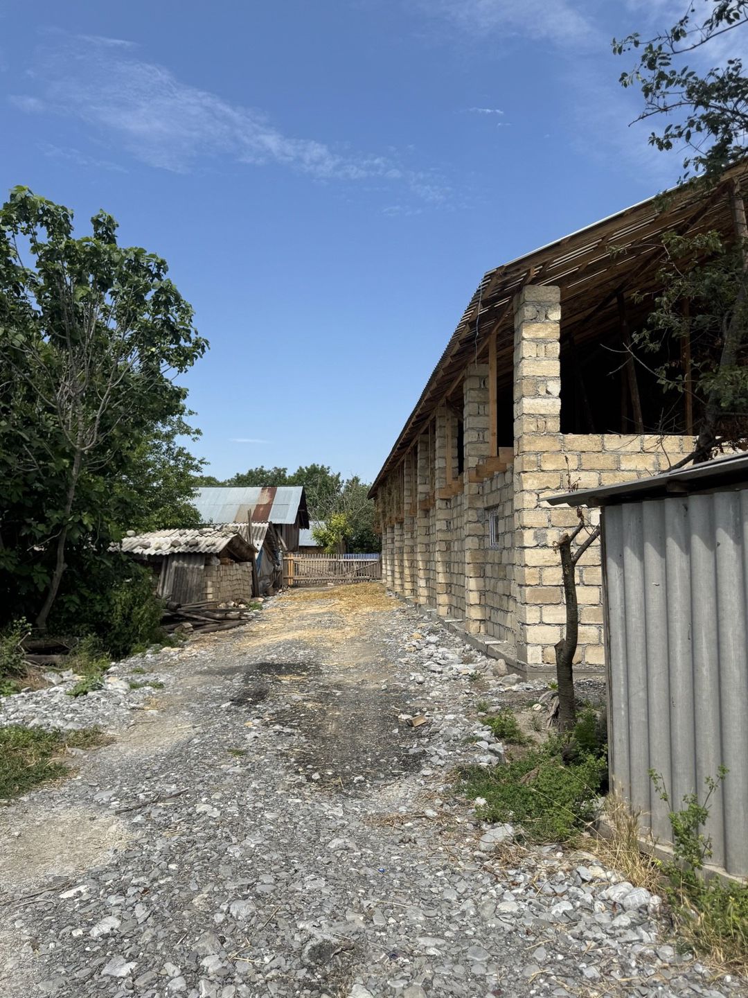 Satılır torpaq 50 sot — Torpaq, Oğuz (3)