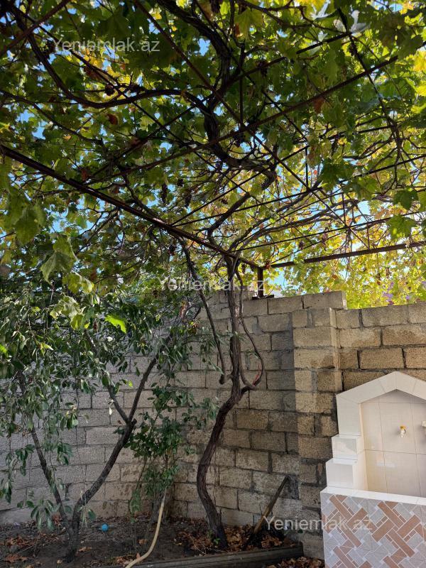 Kirayə 4 otaqlı Həyət evi / Villa, 160 m², 11-ci mikrorayon — Ev, villa, Sumqayıt (3)