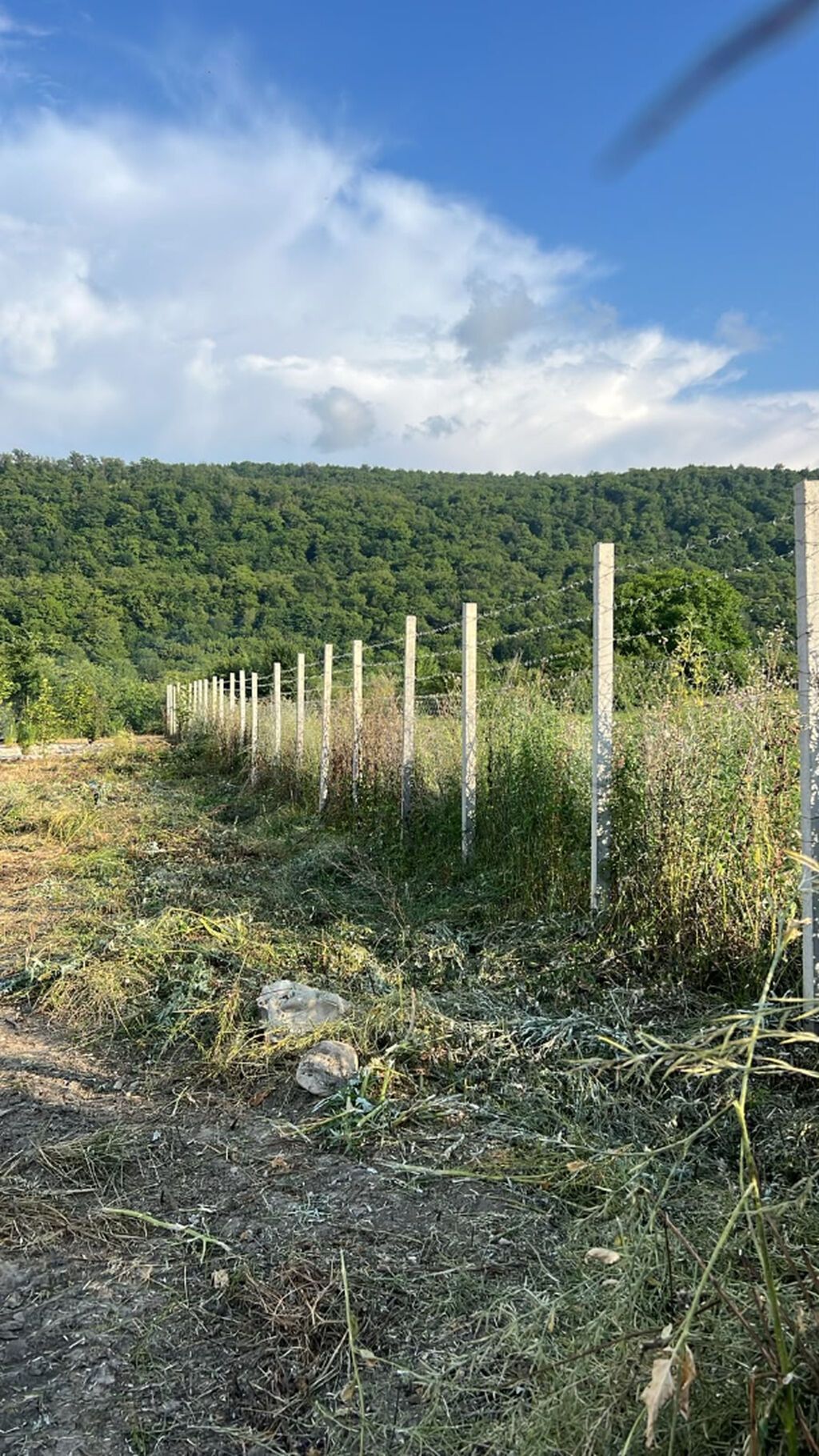 5 sot, Biznes üçün, Makler, Kupça (Çıxarış) — Torpaq, Qusar (5)