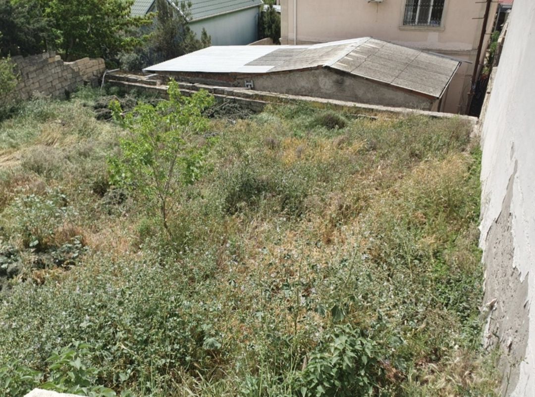 Satılır torpaq 2 sot — Torpaq, Bakı (4)