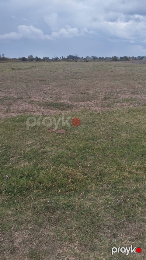 207гектаров ,1гектар за 8тысчь,Реальному покупателю будет скидка — İsmayıllı