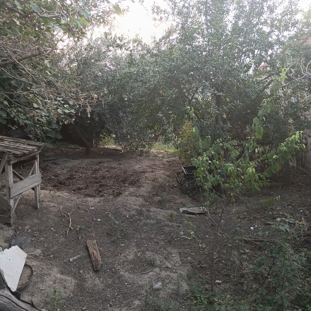 Kənd təsərrüfatı — Torpaq, Mehdiabad (4)