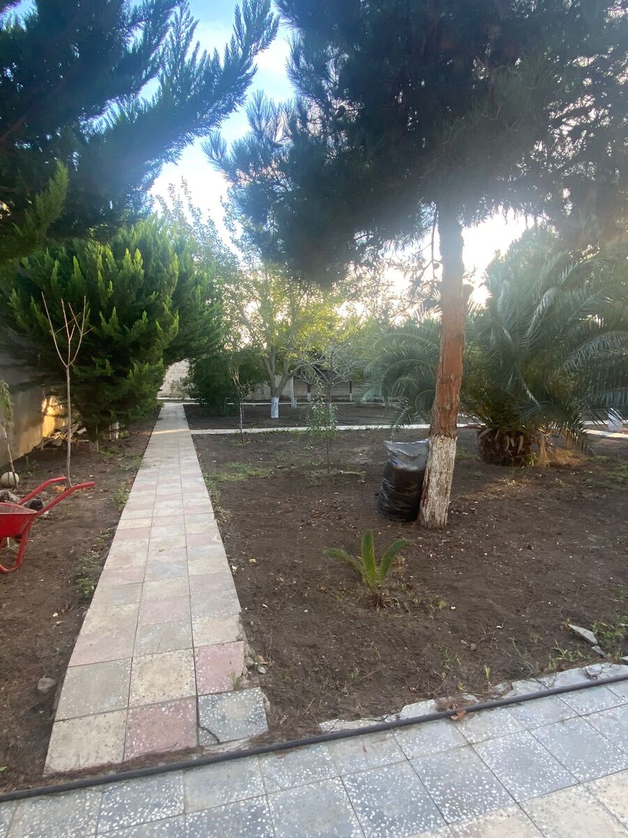 Satılır torpaq 14 sot — Torpaq, Bakı (3)