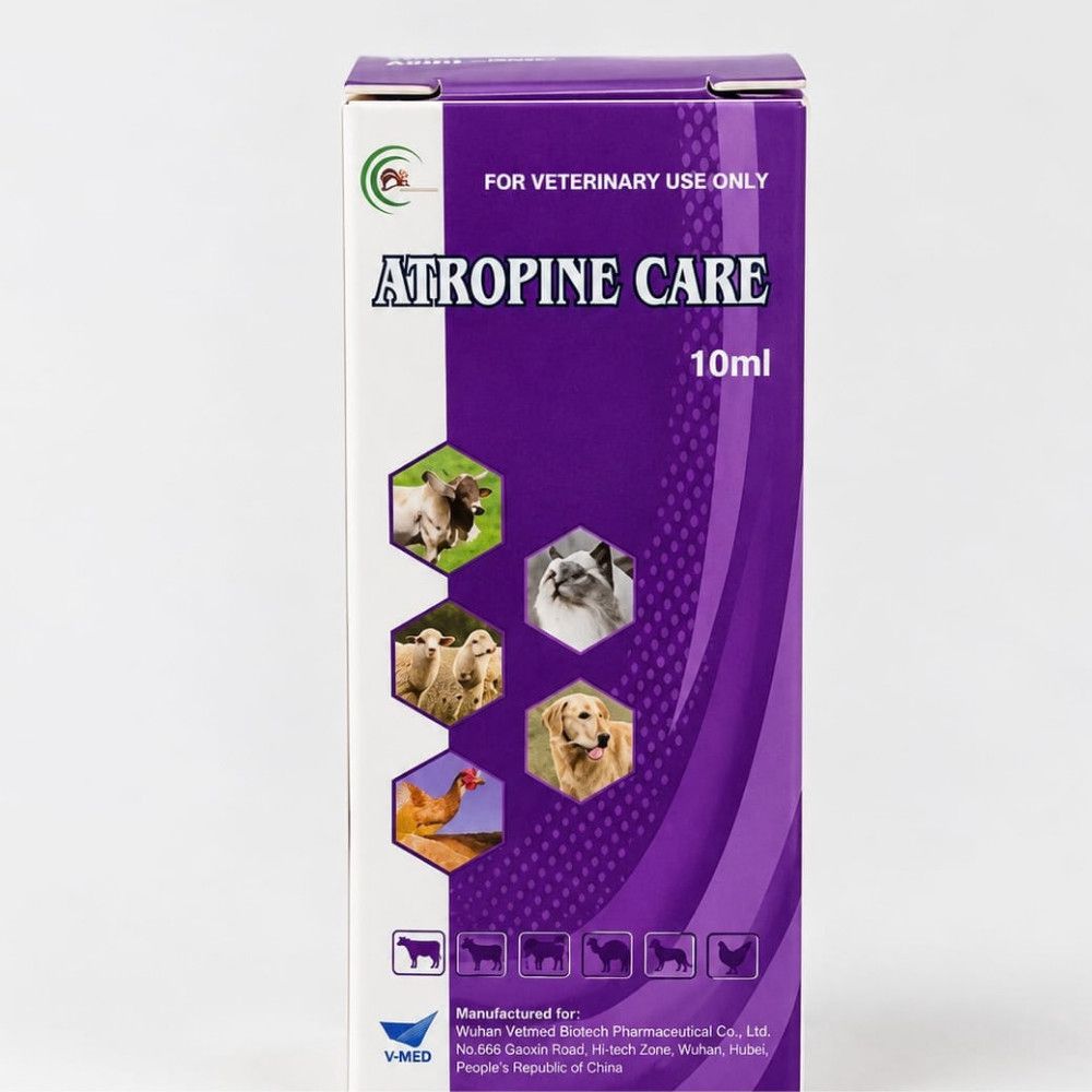 Ağrı və iltihaba qarşı preparat Atropine Care 10 ml — Mallar, Bakı