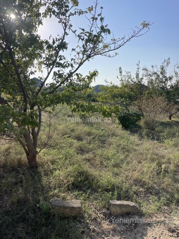 Satılır Torpaq sahəsi, 28 sot, Qurd dərəsi — Torpaq, Sumqayıt (3)