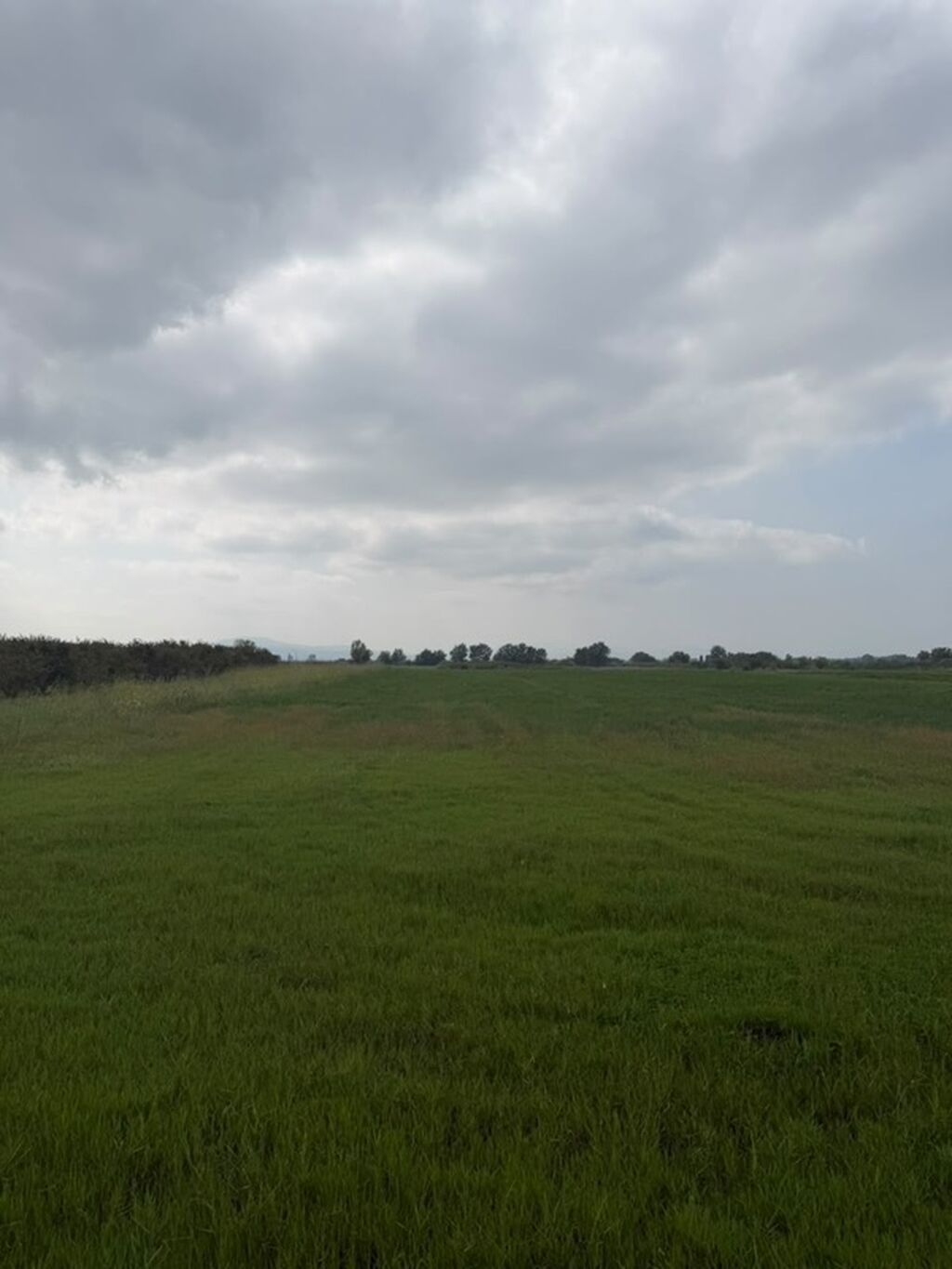 114 sot, Kənd təsərrüfatı, Kupça (Çıxarış), Bələdiyyə — Torpaq, Xaçmaz (4)