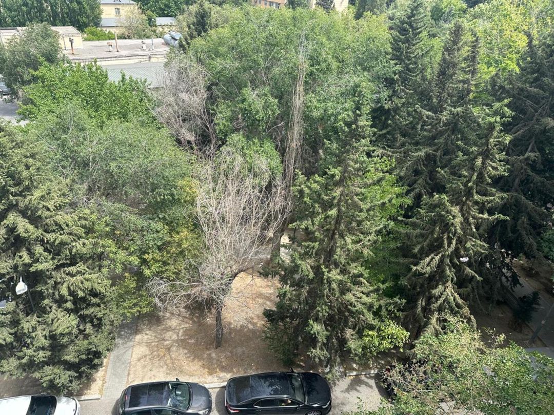 İcarəyə verilir 1 otaqlı köhnə tikili 25 m² — Mənzil, Bakı (8)