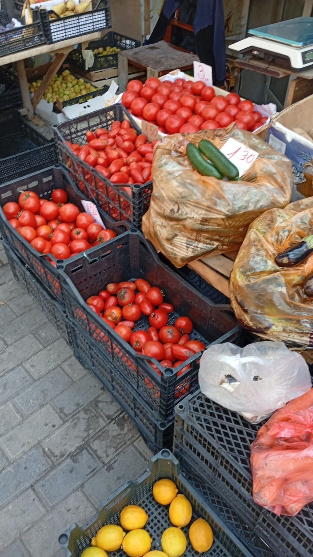 Hazır biznes kimi satılır 500 manat aylıq icare haqqı 400 manat ünvan — Bitkilər, Bakı (4)