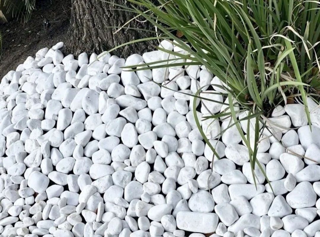 Bağ üçün dekorativ daşlar, 2-5 sm, ağ — Mallar, Bakı (3)