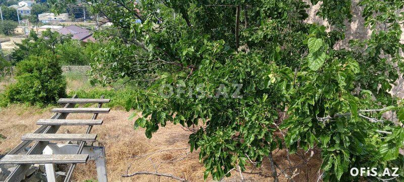 Torpaq Satılır Abşeron r., Görədil q., 16.5 sot — Torpaq, Bakı (6)