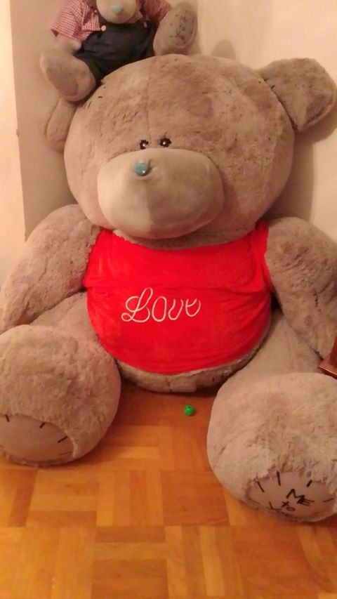 Nəhəng ölçülü “teddy bear” yumşaq oyuncaqlar dəsti - Rəng: boz xəz — Qobu