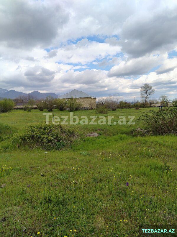Qəbələ rayonu Bum qəsəbəsi torpaq satışı — Torpaq, Qəbələ (4)