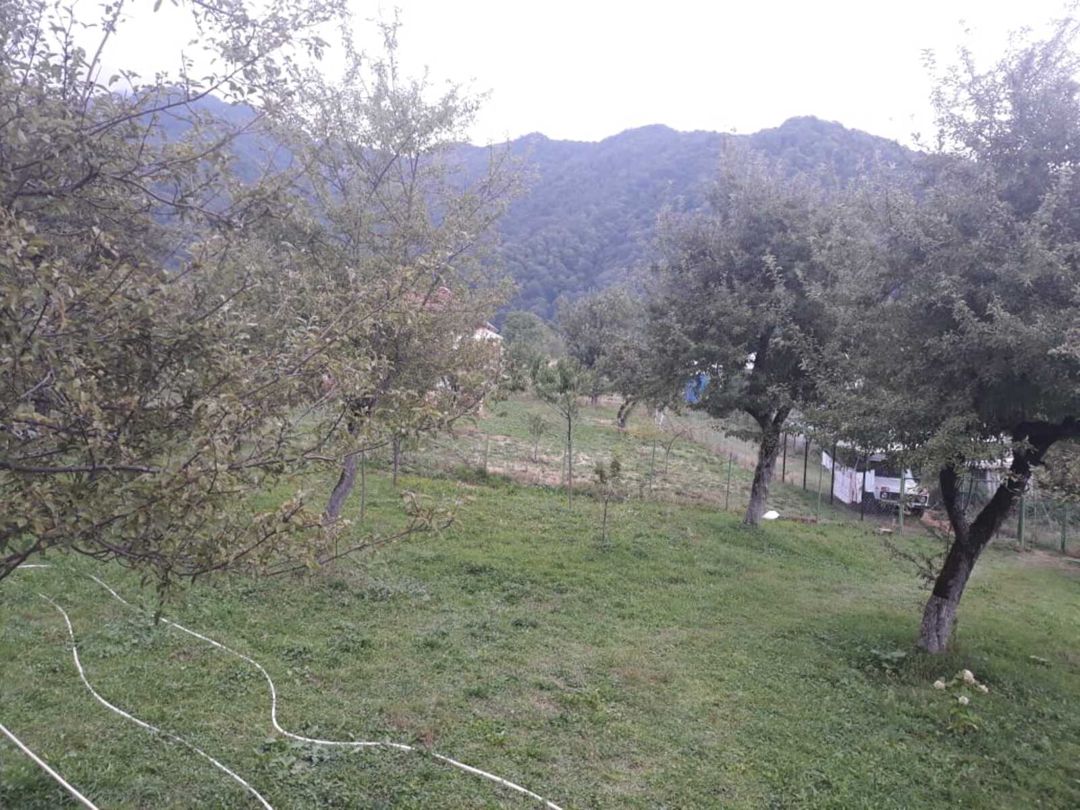 Satılır 4 otaqlı həyət evi/bağ evi 80 m² — Ev, villa, İsmayıllı (10)