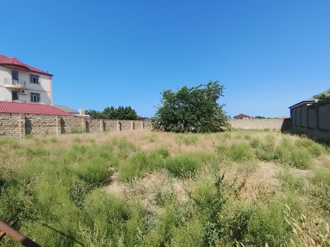 Satılır torpaq 8 sot — Torpaq, Bakı (2)