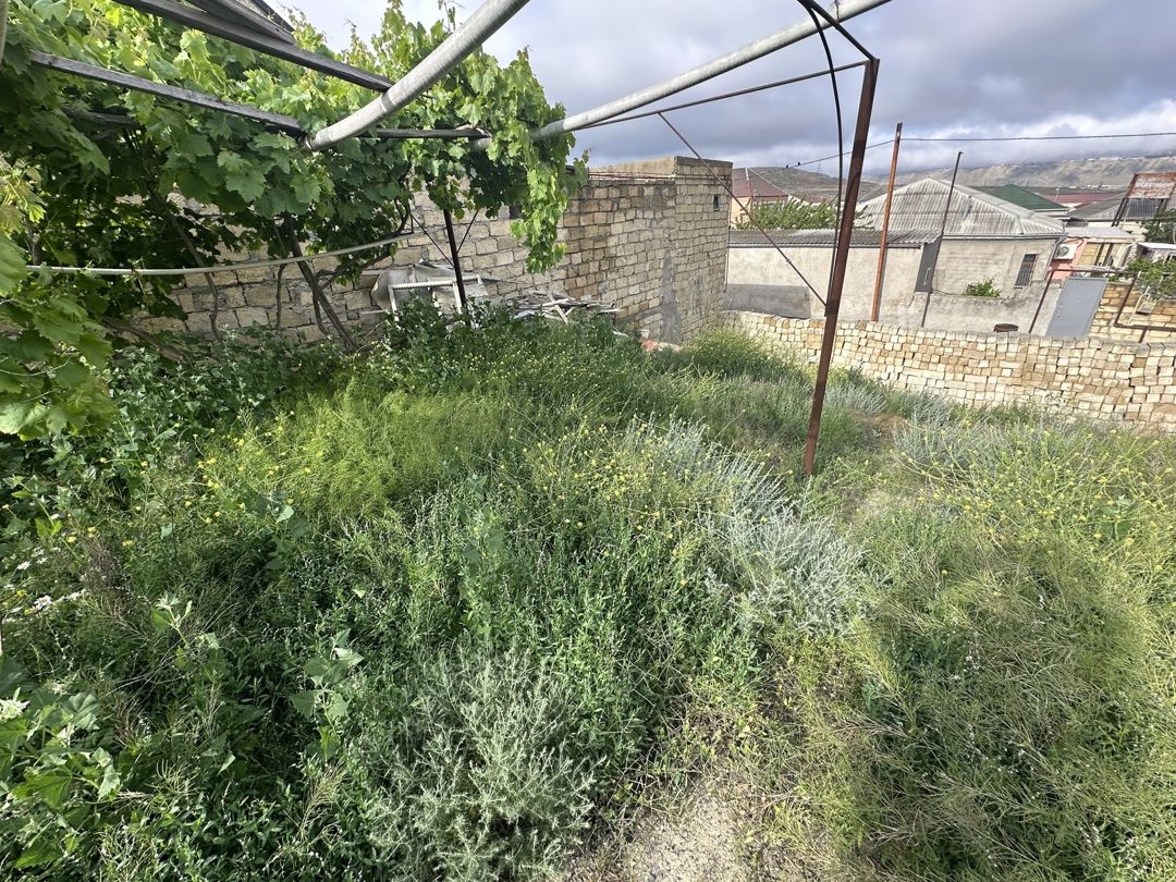 Satılır torpaq 3.8 sot — Torpaq, Bakı (7)