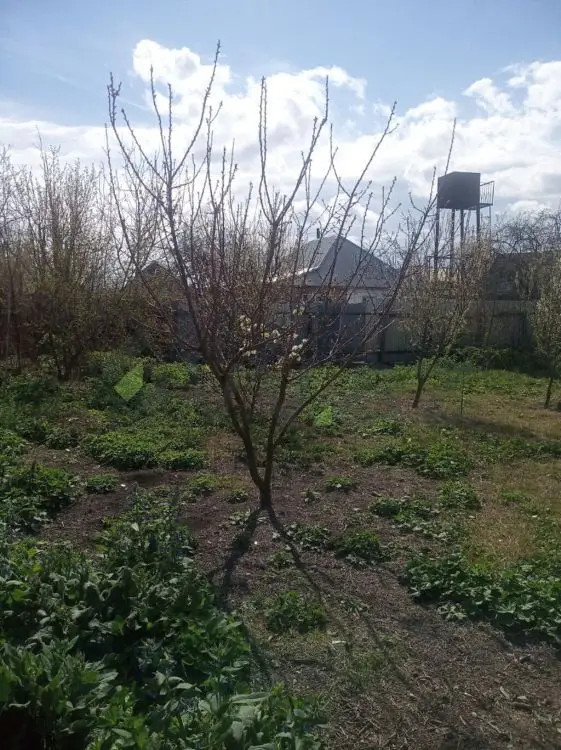 8 sot Torpaq Satılır, Ağdaş — Torpaq, Ağdaş (4)