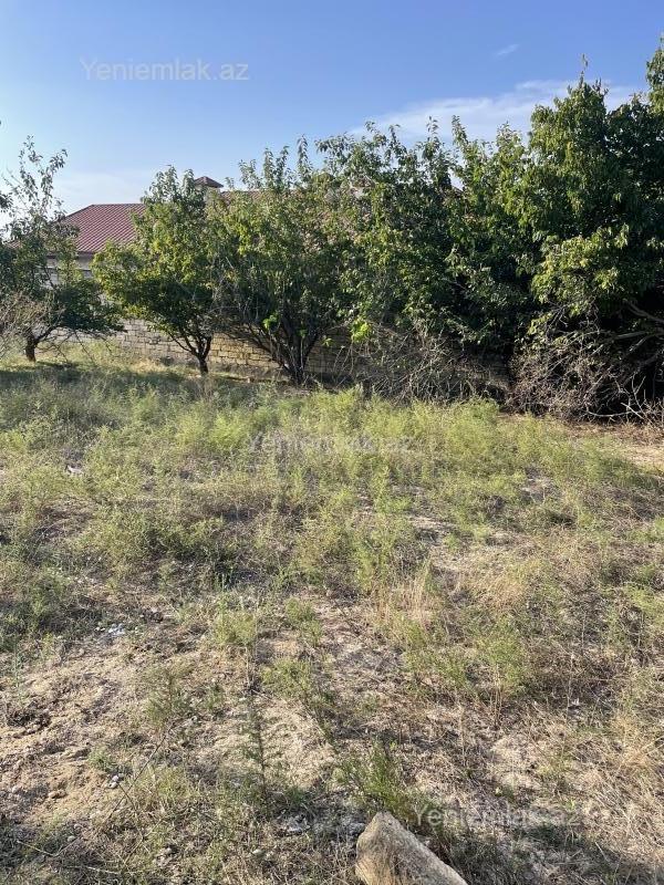 Satılır Torpaq sahəsi, 28 sot, Qurd dərəsi — Torpaq, Sumqayıt (2)