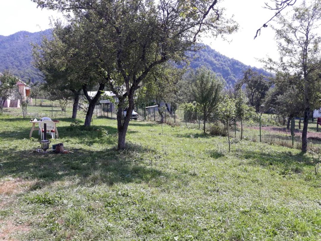 Satılır 4 otaqlı həyət evi/bağ evi 80 m² — Ev, villa, İsmayıllı (4)