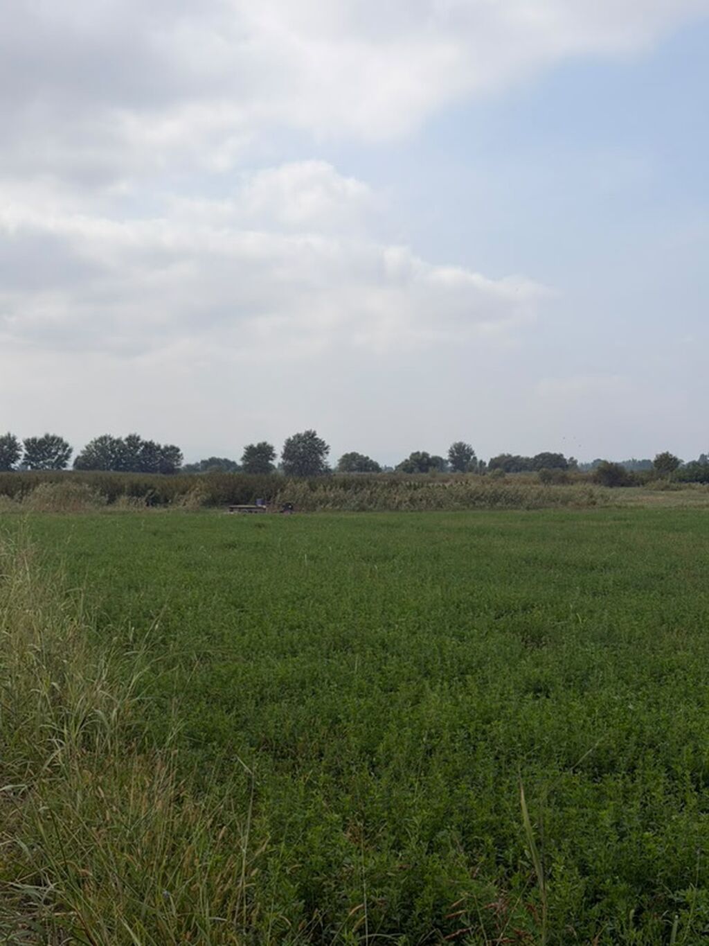 114 sot, Kənd təsərrüfatı, Kupça (Çıxarış), Bələdiyyə — Torpaq, Xaçmaz (2)