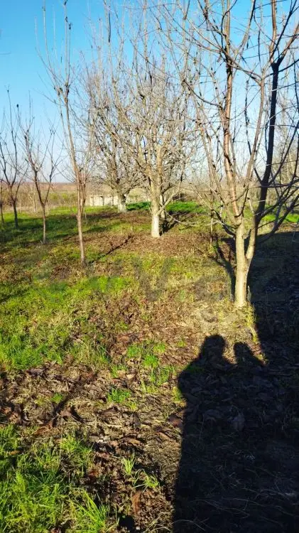 4 otaqlı Həyət evi Satılır, Quba — Ev, villa, Quba (8)