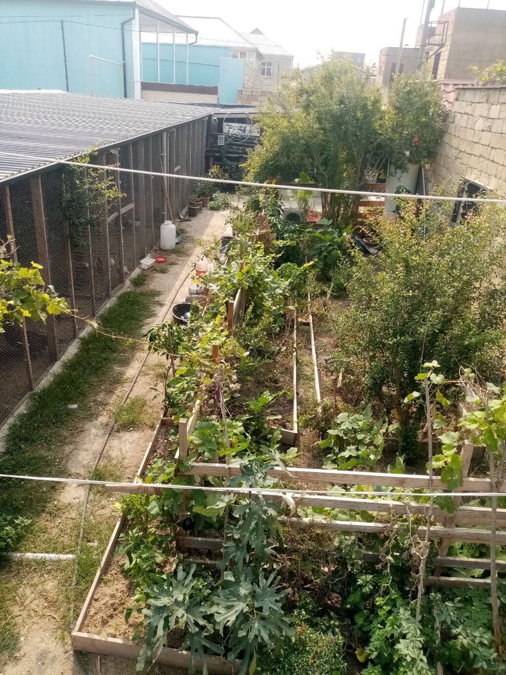 3 sot, Makler, Kupça (Çıxarış) — Torpaq, Bakı (5)