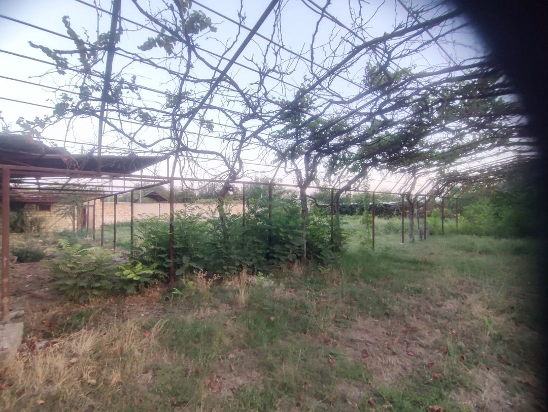 Satılır 4 otaqlı həyət evi/bağ evi 120 m² — Ev, villa, Beyləqan (9)
