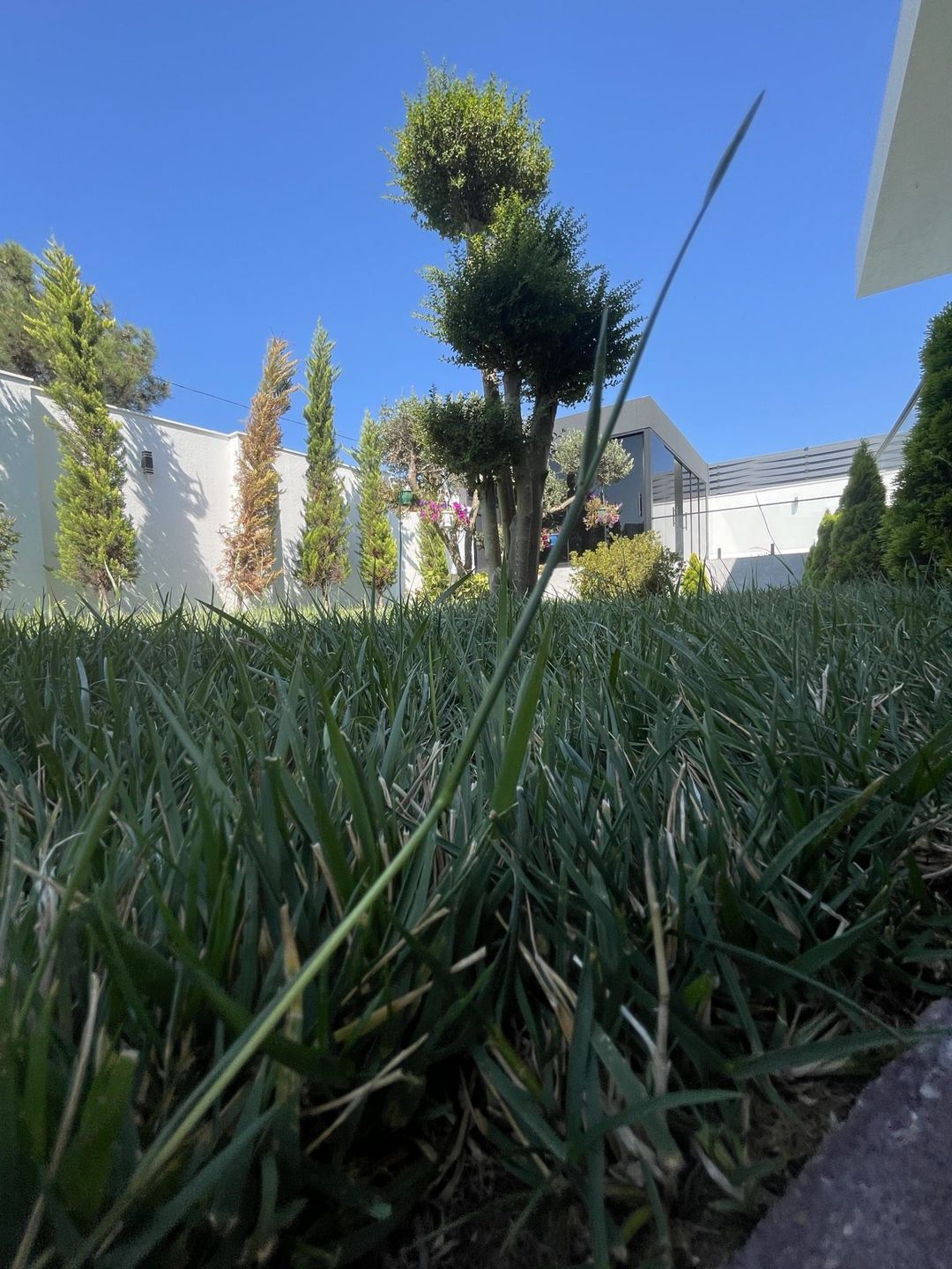 Satılır 5 otaqlı həyət evi/bağ evi 250 m² — Ev, villa, Bakı (10)