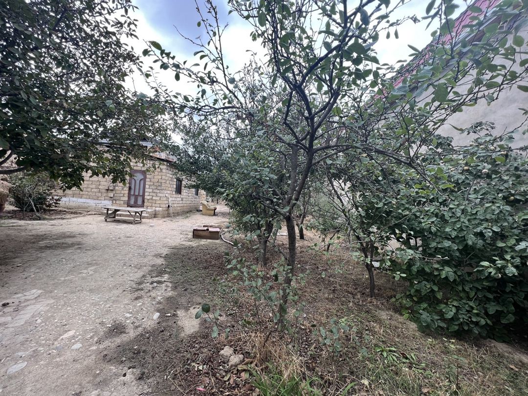 Satılır torpaq 10 sot — Torpaq, Bakı (6)